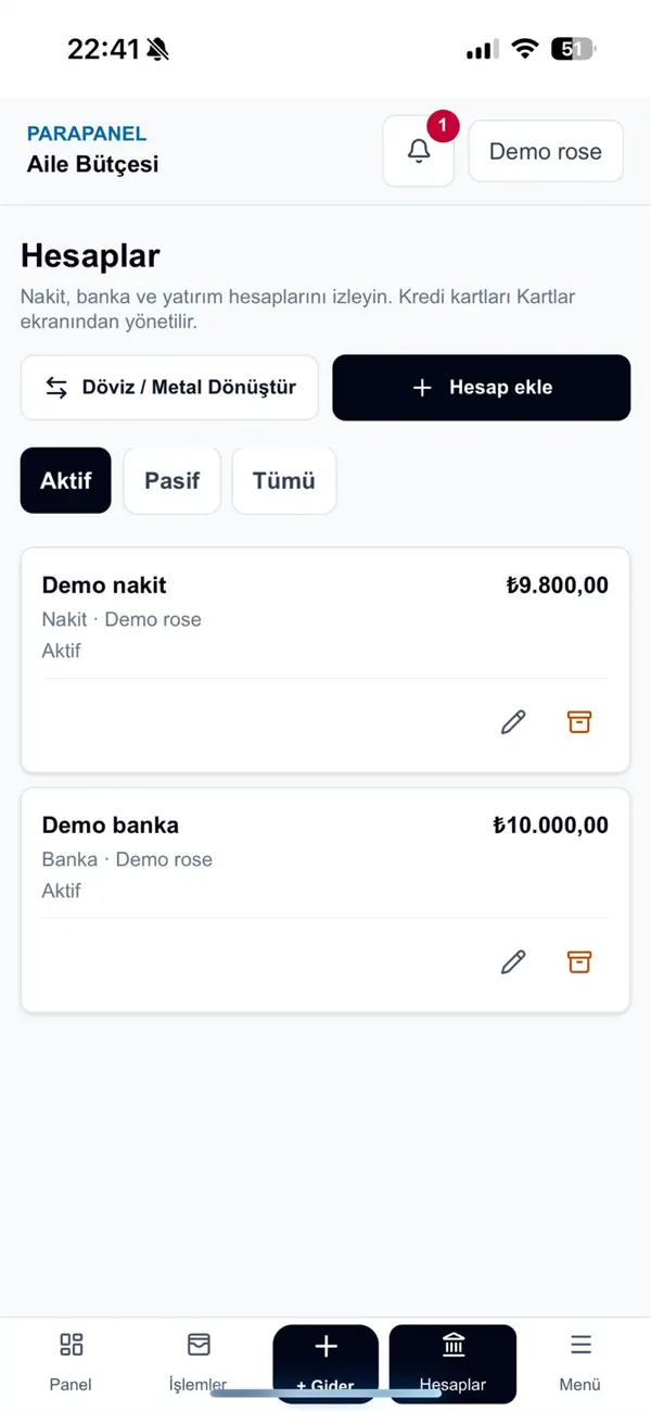 ParaPanel hesaplar ekranı